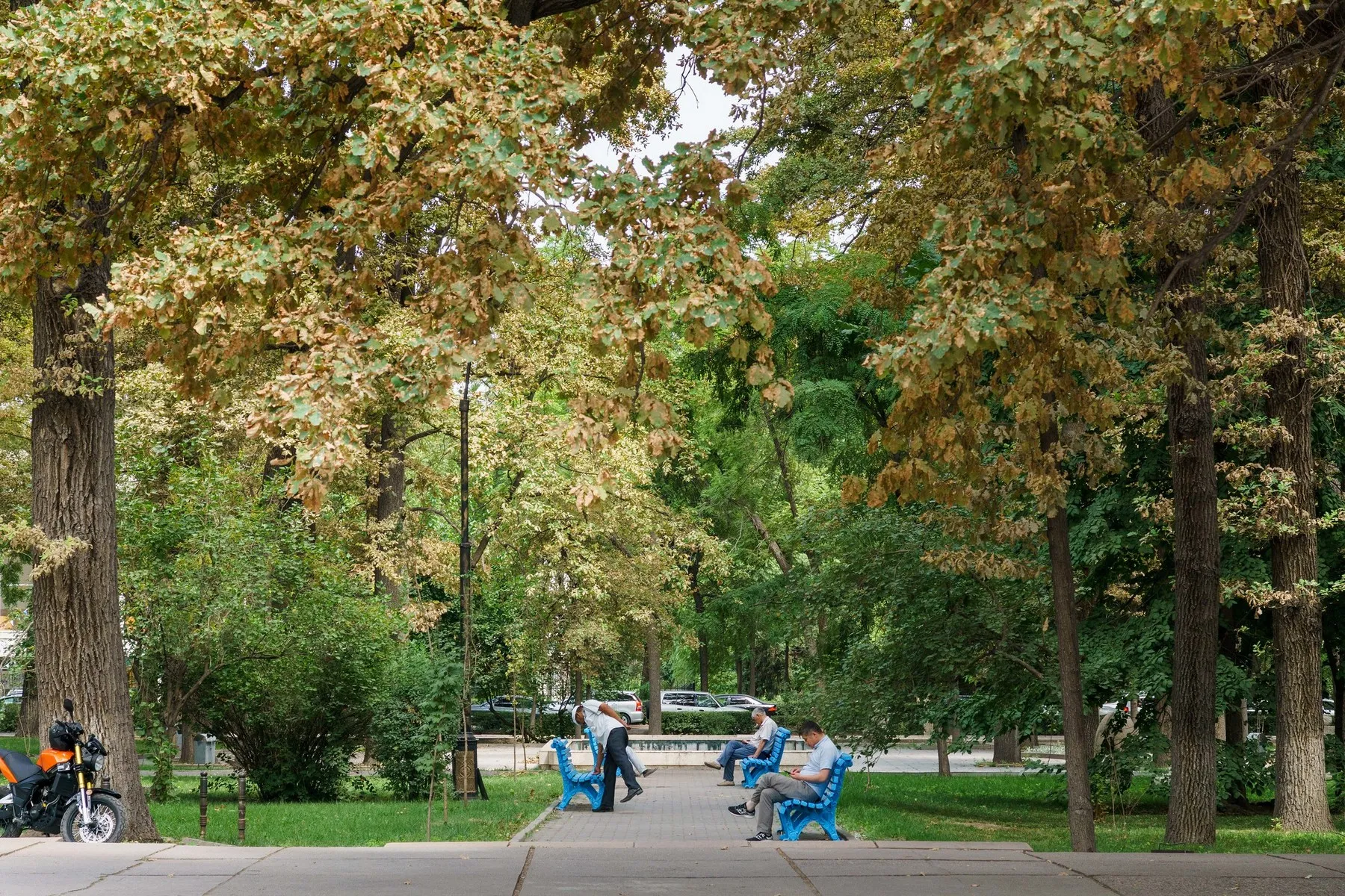 Oak Park Bishkek