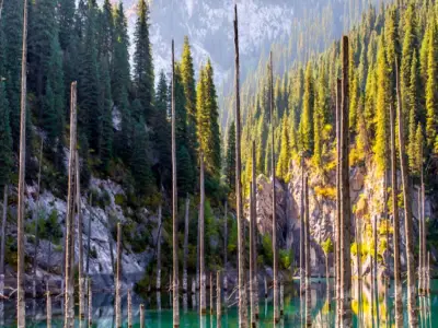 Mystical Kaindy Lake